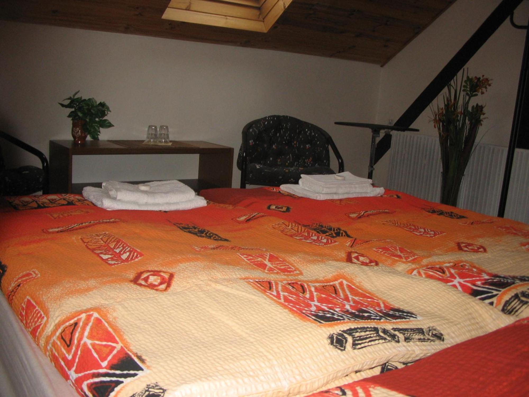 Bed & Breakfast Penzion Brno Extérieur photo